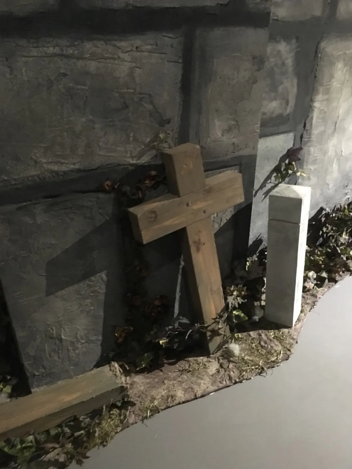 Ripley's Believe It or Not! — beeld 14